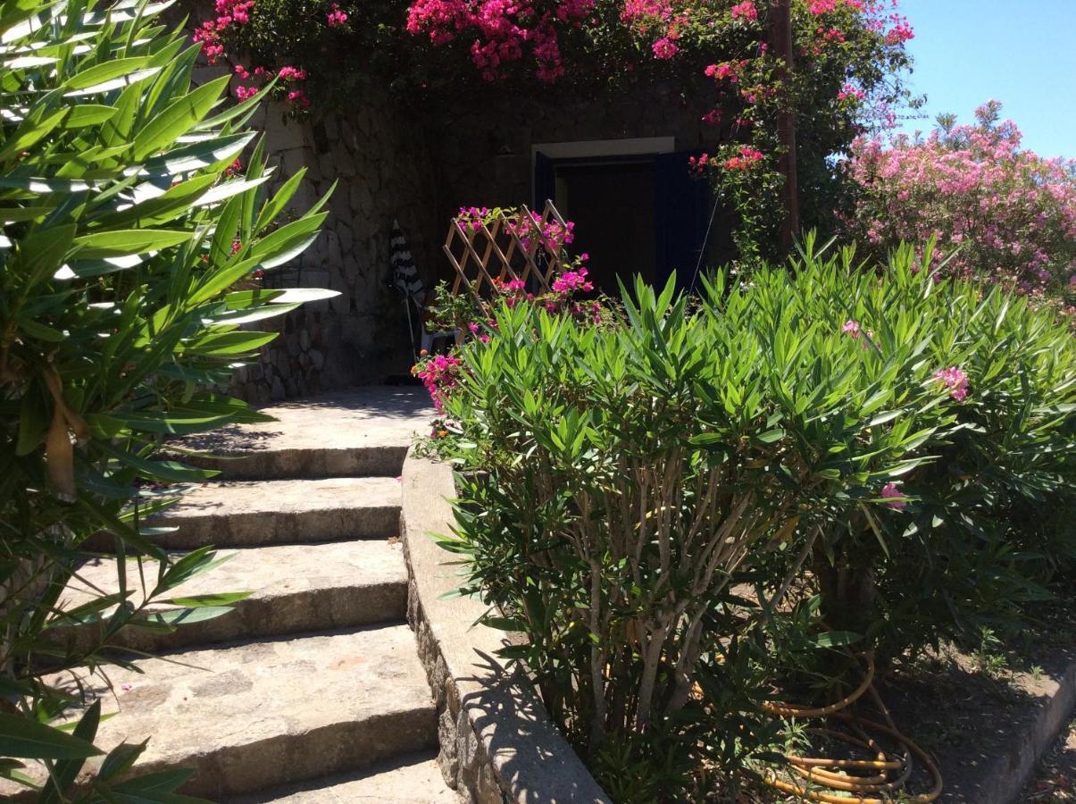 Villa Alle Eolie Nello Splendido Villaggio Lentia 弗卡诺 外观 照片